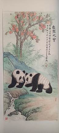 翱翔 自然之美