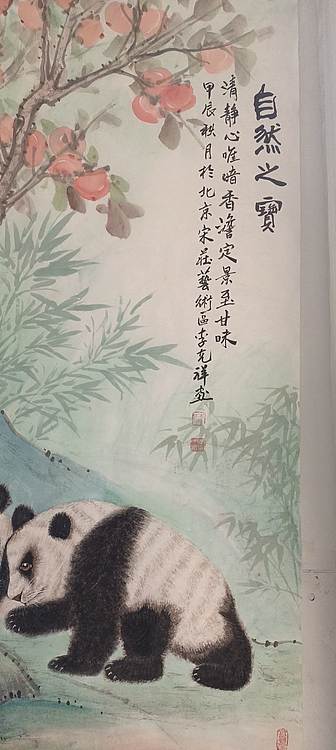 翱翔 自然之美