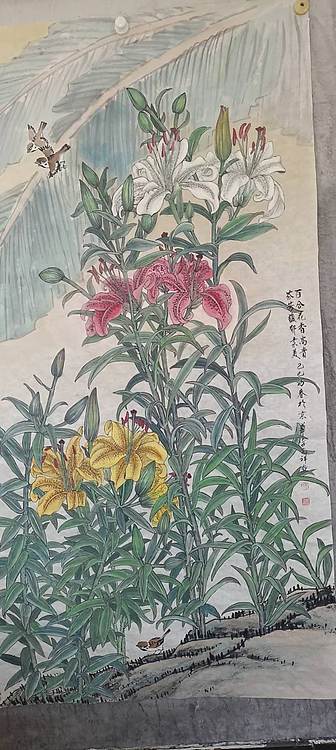 翱翔 百合花香