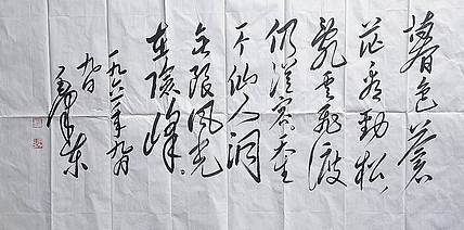 赵云中 七绝乱云飞渡仍从容的意思七绝·为李进同志题所摄庐山仙人洞照