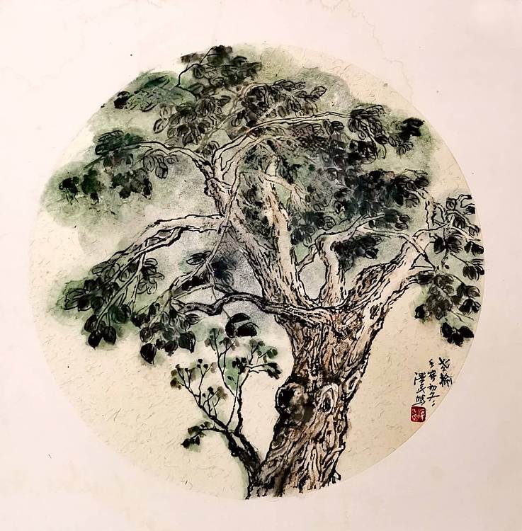 中国美术家协会会员 黄泽民 国画《老榆》