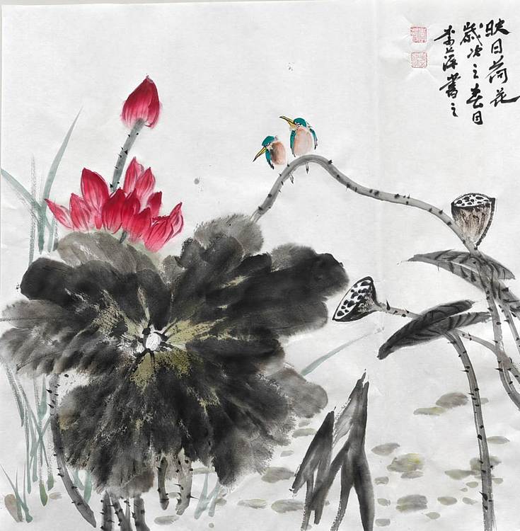 兰花 荷香