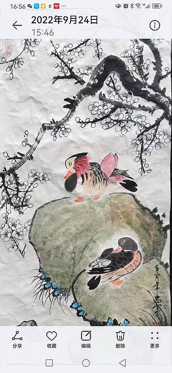 五谷丰登 梅花水乌