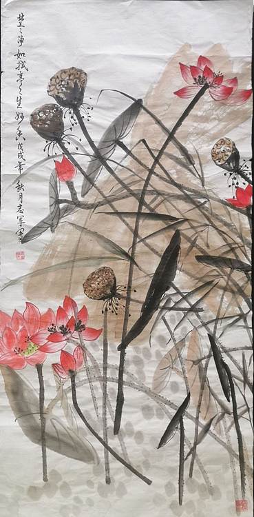 五谷丰登 荷花