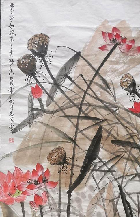 五谷丰登 荷花