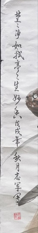 五谷丰登 荷花