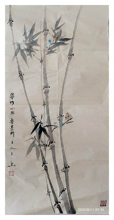静心虾屋主人 翠竹小鸟