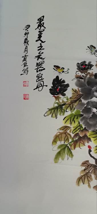 贾秀英 最美之花黑牡丹