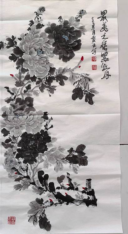 贾秀英 最美之花黑牡丹