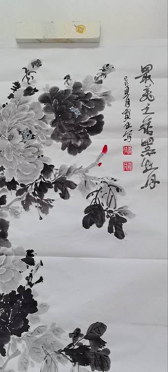贾秀英 最美之花黑牡丹