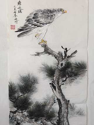 赵鹏 高瞻远瞩