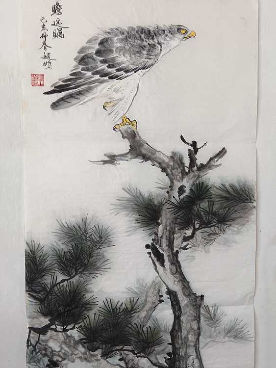 赵鹏 高瞻远瞩