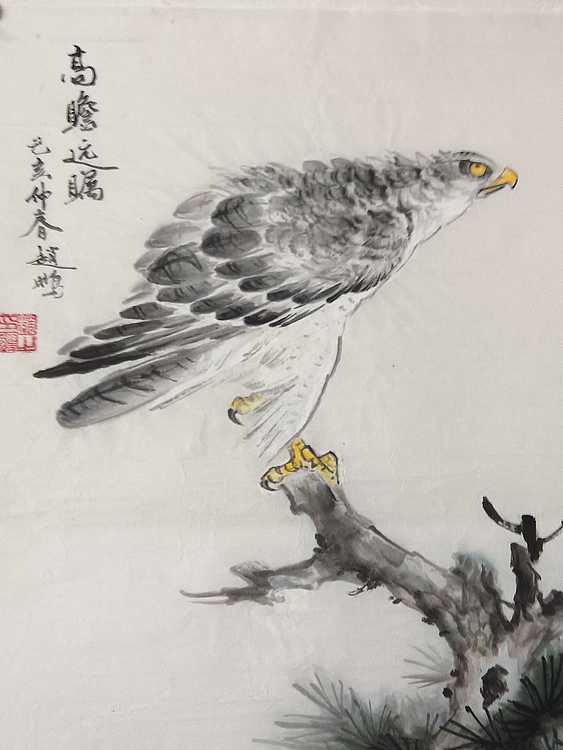赵鹏 高瞻远瞩