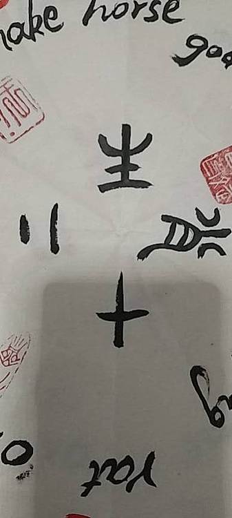 王庆斌 十二生肖