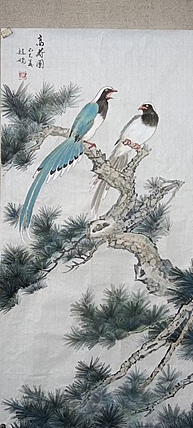 赵鹏 高寿图