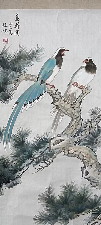 赵鹏 高寿图
