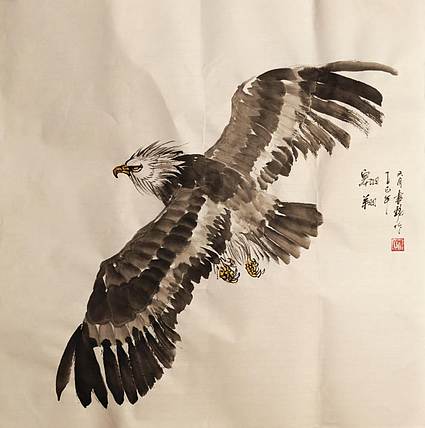 曹书铭 翱翔