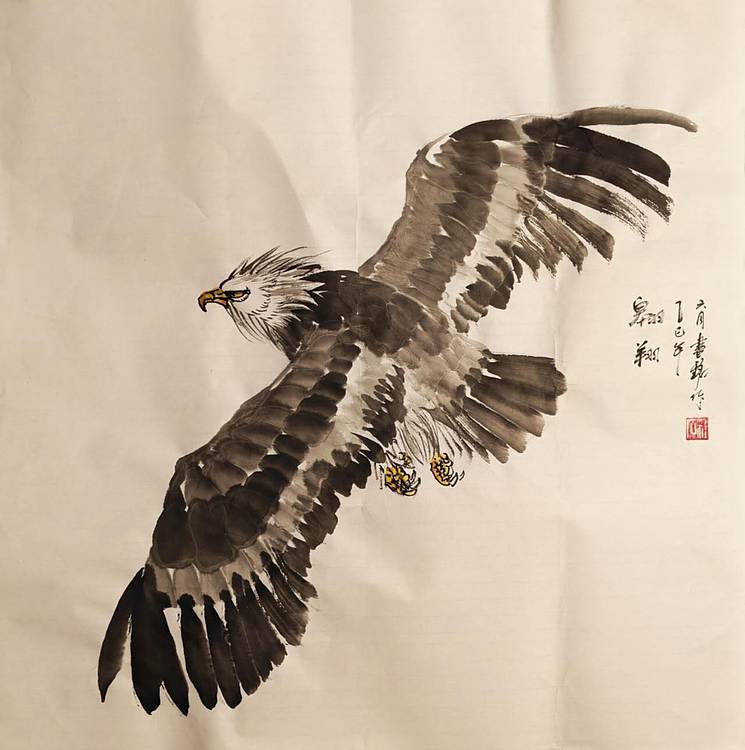 曹书铭 翱翔