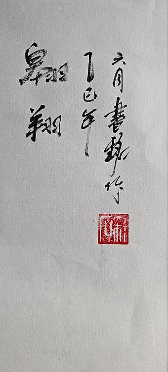 曹书铭 翱翔