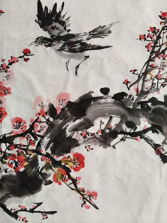 范立志 寒香图