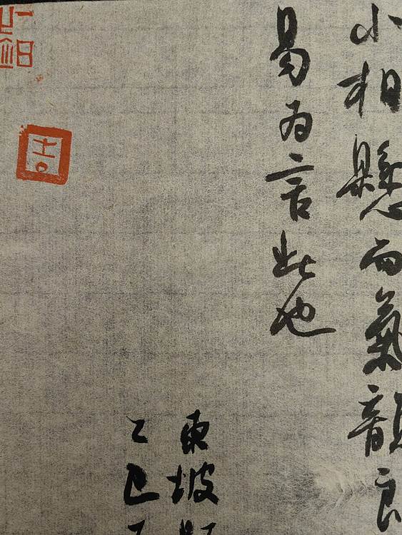 曹国玉 东坡题跋