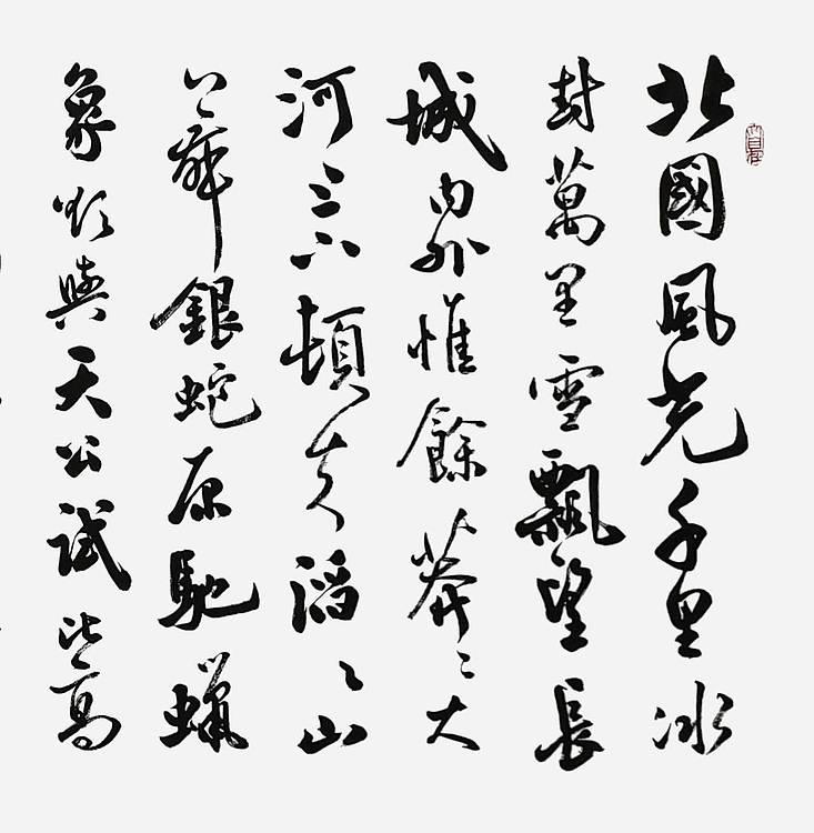 飞翔 毛主席诗沁园春雪手写书法名人字画名家真迹行书原稿装饰定制横幅