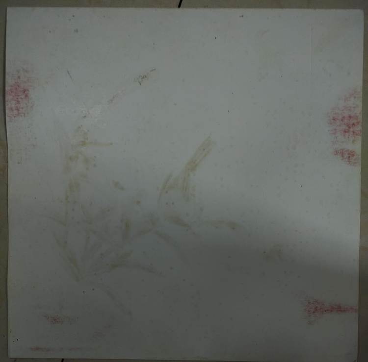 王成林 花鸟图（烙画专用卡纸烙画）