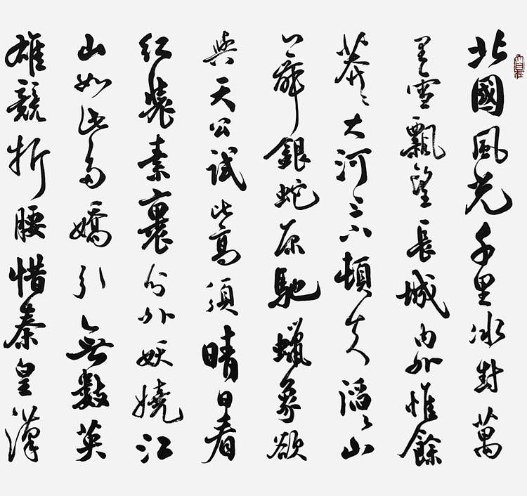飞翔 毛主席诗沁园春雪手写书法名人字画名家真迹行楷原稿装饰定制横幅