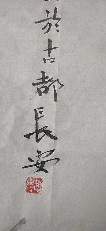 赵东方 长征