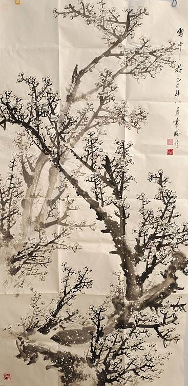曹书铭 雪中花