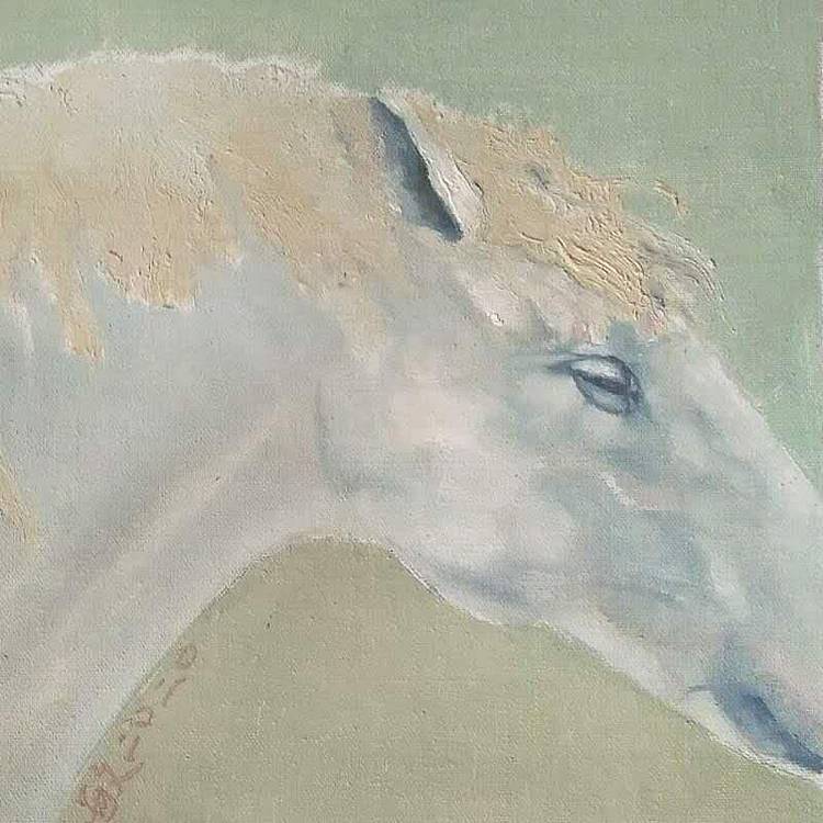 胡冰 纯手绘精品油画