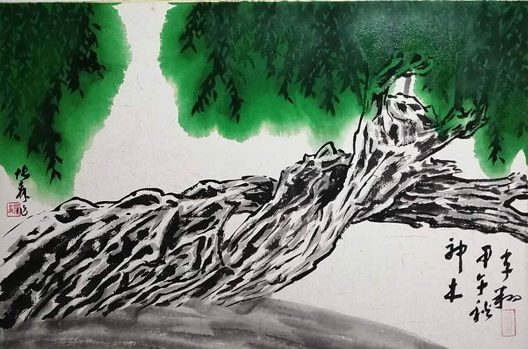 柴博森 《松树图》