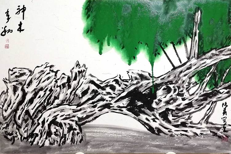 柴博森 《柳树写生》