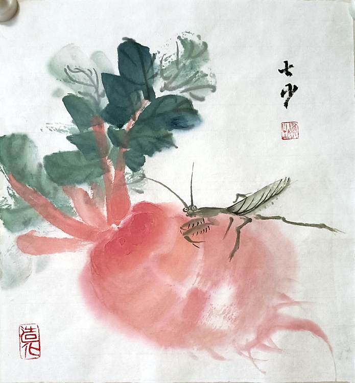青年书画家 七汐 萝卜草虫图