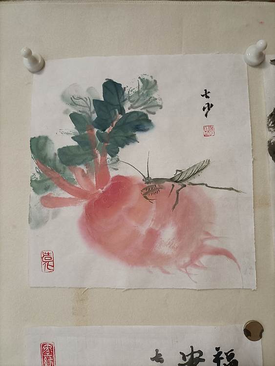 青年书画家 七汐 萝卜草虫图