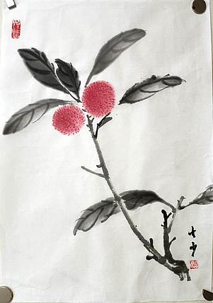 青年书画家 七汐 杨梅