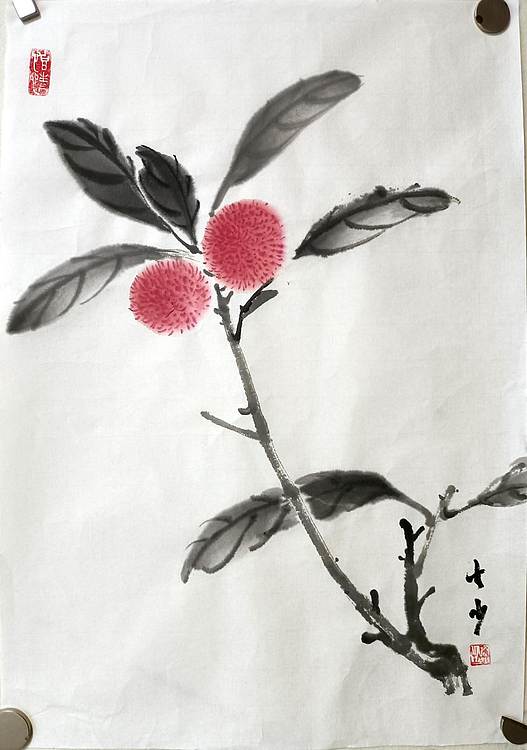 青年书画家 七汐 杨梅