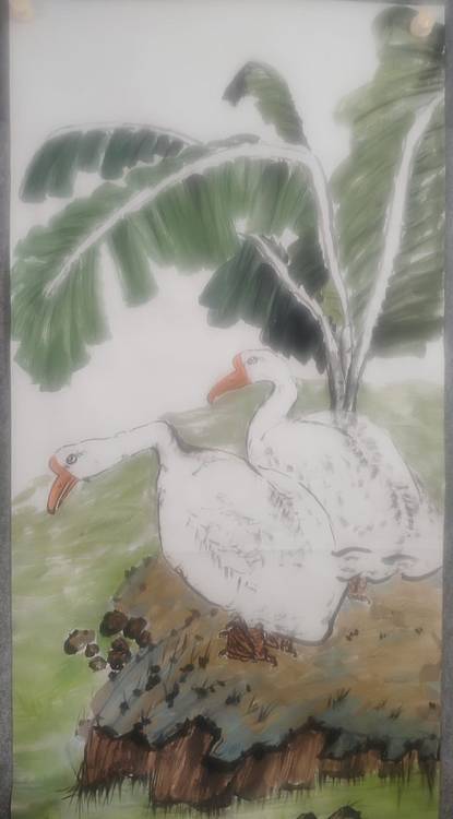 青年书画家 泰然自若 添得芭蕉绿满庭