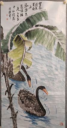 青年书画家 泰然自若 芭蕉黑天鹅