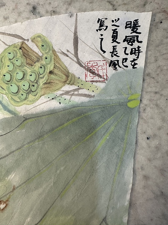 老苍 暖风