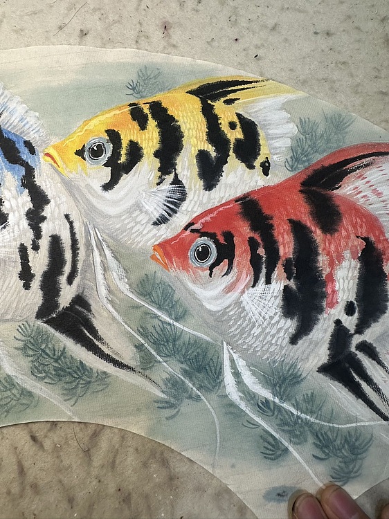 老苍 自在