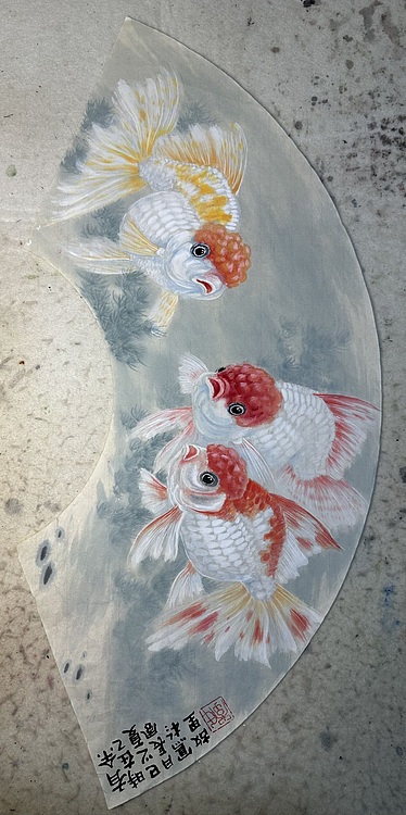 老苍 有余