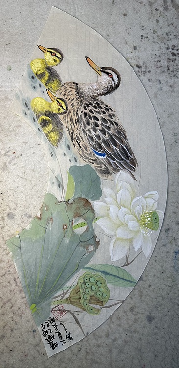 老苍 暖风