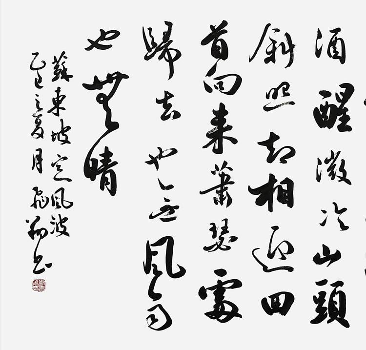 飞翔 苏东坡定风波手写书法名人字画名家真迹作品定制收藏行书横幅挂画