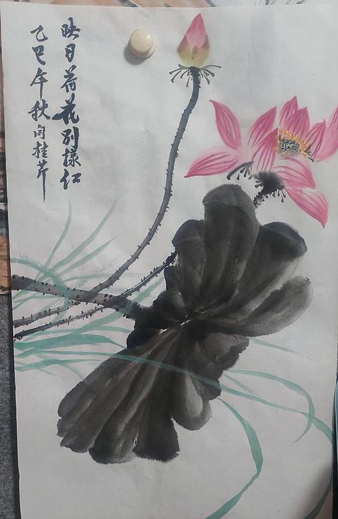 青年书画家 泰然自若 映日荷花别样红