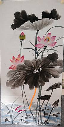 青年书画家 泰然自若 映日荷花别样红