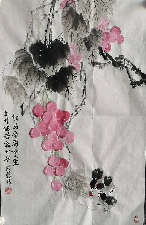 洪君 细品葡萄如人生