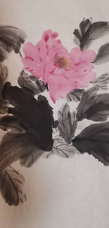 清荷 霍春阳学生 樊华 大富贵