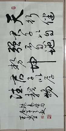 王鑫生 书法 中华当代杰出功勋艺术家 天行健