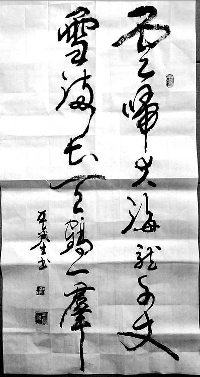 王鑫生 书法 中华当代杰出功勋艺术家 精品